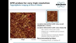 AFM  Probe Fundamentals Selection and Applications  Bruker [upl. by Otilesoj632]