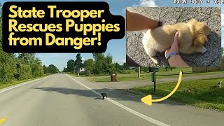 Ohio State Trooper Rescues Puppies from Danger [upl. by Anyaled]