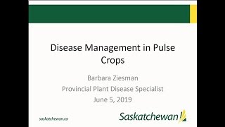 Pulse Agronomy Webinar Integrated Pest Management for Disease in Pulses [upl. by Yrojram]