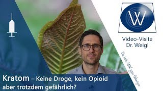 Kratom zur Schmerztherapie Kein Opioid aber trotzdem gefährlich❗📌Wirkung Nutzen amp Nebenwirkungen [upl. by Winthorpe]