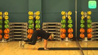 How To Do Mountain Climbers Exercise [upl. by Htiaf473]