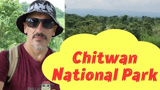 Chitwan National Park Nepal  Part 2  Walking in the jungle  4K Ultra HD Video [upl. by Kcirderfla]