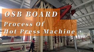 Process Of Hot Press Machine for OSB Board  OSB Board Hot Press Machine  OSB Board Making Machine [upl. by Ayat]