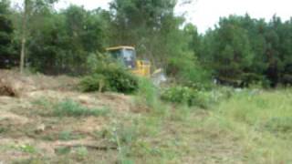 Clearing trees with the dozer [upl. by Tresa]