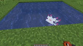 What Do Axolotls Eat in Minecraft [upl. by Laynad]