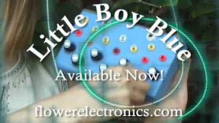 Flower Electronics Little Boy Blue [upl. by Monafo]