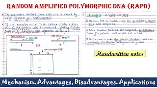 Random amplified polymorphic DNA RAPD [upl. by Debarath]