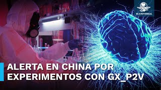 China experimenta con cepa mutante de Covid que daña el cerebro y es 100 mortal [upl. by Festatus]