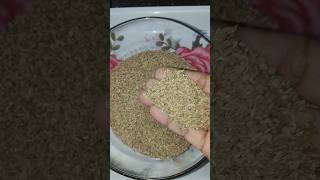 వాము ప్రయోజనాలుhealth benefits of ajwaincarom seeds trendingonshorts lalluvlogs [upl. by Tatiana568]