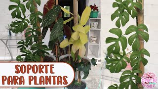 Soporte o tutor para plantas enredaderas y trepadoras │Candy Bu [upl. by Zul]