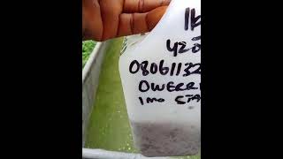 08033193602 Duckweed delivered to Owerri Imo State in Nigeria [upl. by Yank]