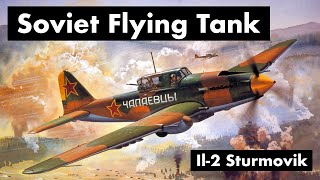 Why This Soviet WW2 Aircraft Was So Effective [upl. by Emelda]