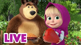 🔴 AO VIVO 👱♀️🐻 Masha e o Urso ☀️📅 Uma vez no meio de agosto 😎 Masha and the Bear LIVE [upl. by Jerrine]