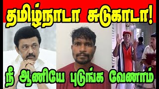 தமிழ்நாடா சுடுகாடா  ANNAMALAI  DMK TROLL  SUDALAI TROLL  NADODI MANNAN mkstalin dmkfails dmk [upl. by Naiviv]