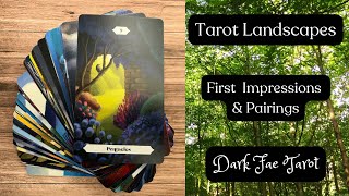 First impressions amp pairings  Tarot Landscapes [upl. by Fannie]