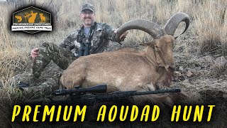 Pro Membership Sweepstakes Drawing for Premium Aoudad Hunt [upl. by Aldous422]