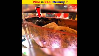 Who is Pharaoh Real Mummy  Arslan Speaks shortsfeed amazingfacts pharoah real mummy [upl. by Ayota]