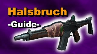 Destiny 2  Halsbruch  Guide  Automatikgewehr mit Season der Schmiede [upl. by Pena]