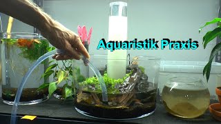 Aquariumraum Tour und praktisches Arbeiten mit Aquarien [upl. by Viking]