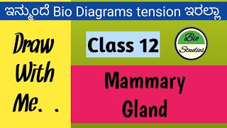 Mammary Gland  DIAGRAM [upl. by Mailliwnhoj]