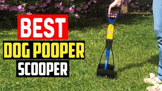 ✅ Top 5 Best Pooper Scoopers of 2023 [upl. by Fianna]