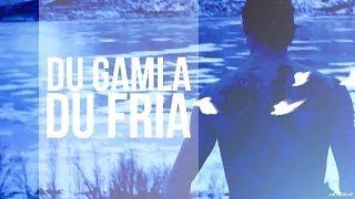 DU GAMLA DU FRIA  Zlatan Ibrahimovic OFFICIAL LYRICS 720 HD [upl. by Hertzog]