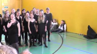 Jugendchor Vivo der MusikAkademie Basel S isch mer alle ei Ding EJCF Basel 2014 [upl. by Nnaitsirk]