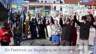 Eröffnung hagebaumarkt Mölders Brandenburg [upl. by Alyhs]