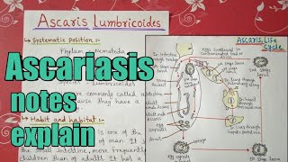 Ascariasis Full notes explain in hindi [upl. by Henryson740]