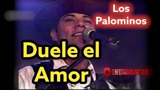 Los Palominos Duele el Amor [upl. by Navar398]