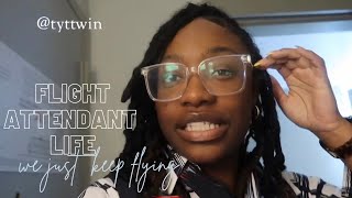 Everything is Working Out Flight Attendant Vlog [upl. by Carole]