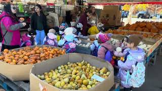 Canada Montreal Jean Talon Market [upl. by Lered]