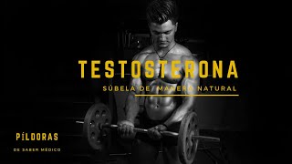 💪EL PODER DE LA TESTOSTERONA para tu salud masculina – Descubre COMO SUBIRLA de manera NATURAL [upl. by Goat952]