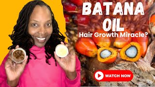 Batana Oil for Hair Growth  Discover the History Benefits and Uses  Harvesting from Honduras 🌿🌴 [upl. by Dudley]