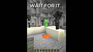 Proboiz WITHER CREEPER Explosion in Minecraft [upl. by Ynatil247]