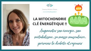 LA MITOCHONDRIE CLÉ ÉNERGÉTIQUE  fatigue poids moral [upl. by Driskill]