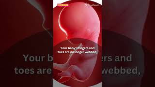 Pregnancy Week 10 Changes You MUST Know pregnancy pregnant pregnancyweek10 pregnancysymptoms [upl. by Thapa869]