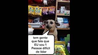 Cachorro feio da desgraça [upl. by Bobbe]