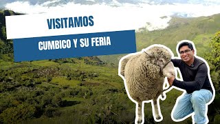 Visitamos la feria AGROPECUARIA en CUMBICO 2024 [upl. by Ahsiniuq63]