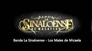 Banda La Sinaloense  Los Males de Micaela [upl. by Belmonte]