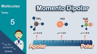 ¿Cómo determinar la POLARIDAD de las moléculas [upl. by Ppik554]