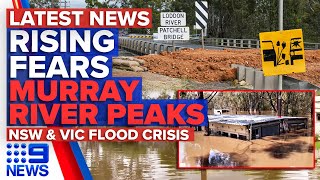 Echuca homes inundated as Murray River surpasses 1993 level  9 News Australia [upl. by Vano]