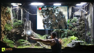 I Used an Endoscopic Camera to Peek Into an Ant Nest in My Giant Ecosystem Vivarium [upl. by Shewmaker]