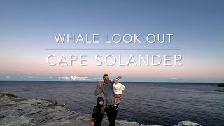 Cape Solander Whale Look Out Tour [upl. by Enoed]