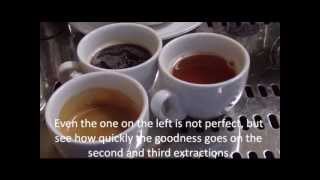 How to make a great espresso [upl. by Atived]