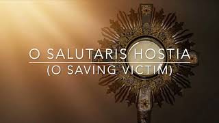 O SALUTARIS HOSTIA O SAVING VICTIM Instrumental [upl. by Matti]