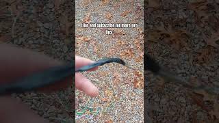 Another Pro Tip 👍homestead wiring electrical trailer automobile professional protips [upl. by Akisey]