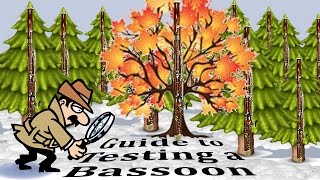 GUIDE TO TESTING A BASSOON BEFORE BUYING [upl. by Zins]