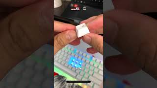 Unboxing WOMIER K87 Mechanical Keyboard  TKL 87 Keys RGB Wired Hotswap Review [upl. by Yuzik]