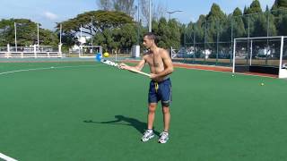 Awesome Field Hockey Skills by World Cup Players [upl. by Adiol598]